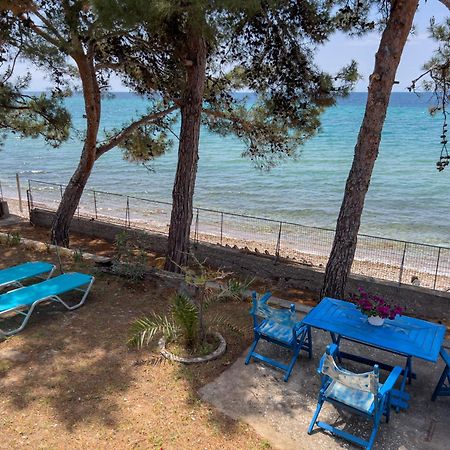 Pine Beach House สกาลา กัลลีราคิส ภายนอก รูปภาพ