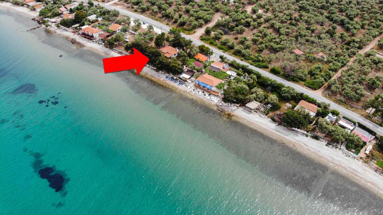 Pine Beach House สกาลา กัลลีราคิส ภายนอก รูปภาพ